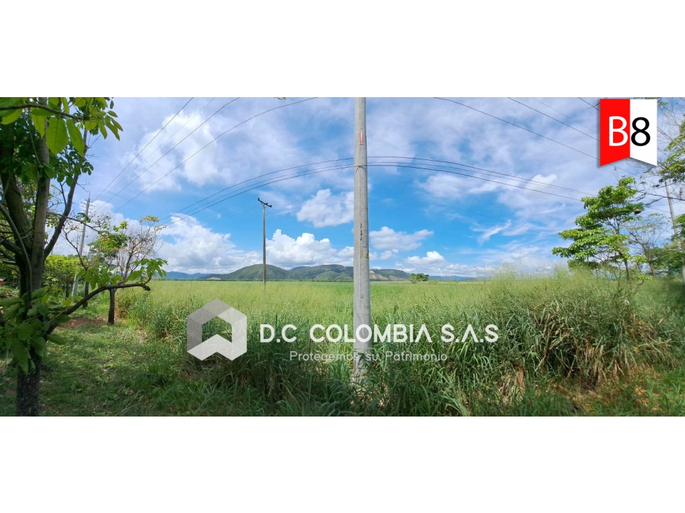 LOTE EN VENTA VEREDA CAMALA - FLANDES TOLIMA - 1