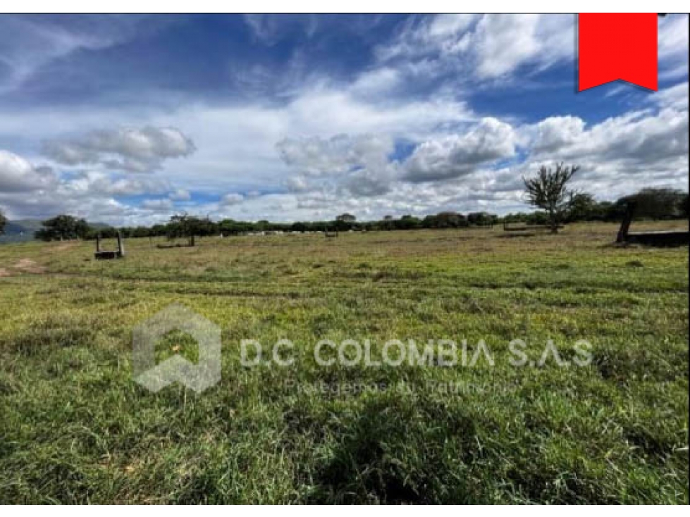 LOTE EN VENTA EN LA VEREDA CAÑAVERALES EN SUAREZ - TOLIMA - 1