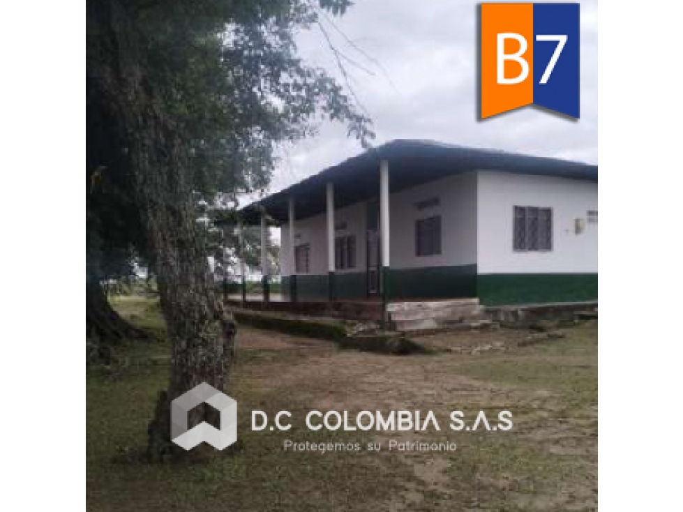 FINCA EN VENTA EN LA VEREDA PAPACALÁ EN SALDAÑA TOLIMA - 1