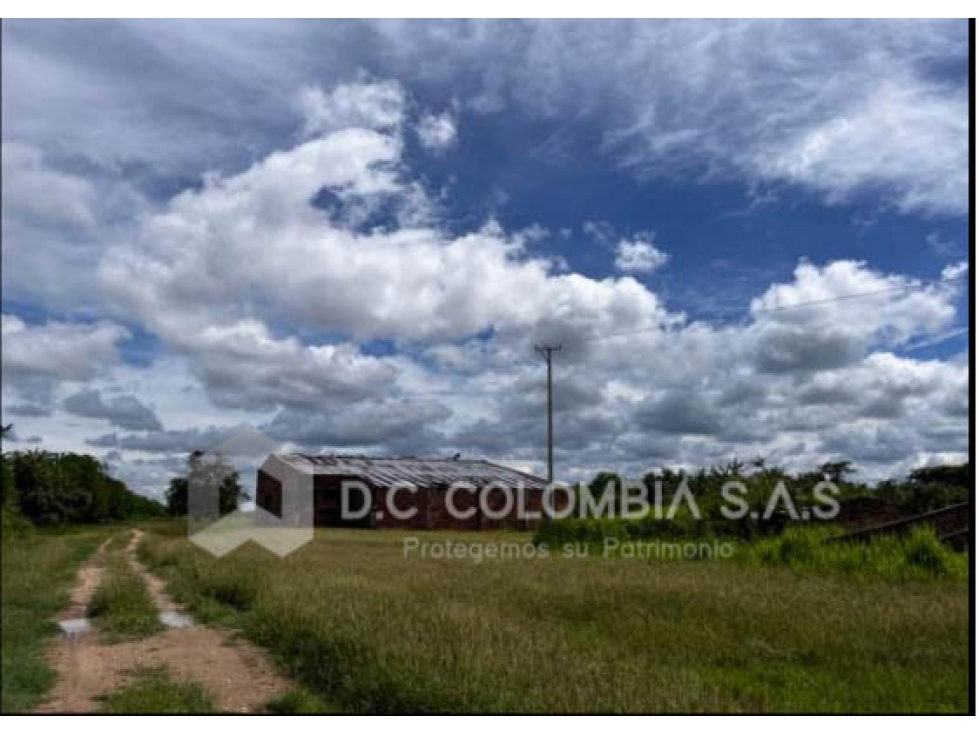 LOTE EN VENTA VEREDA CAÑAVERALES - SUAREZ - TOLIMA - 2