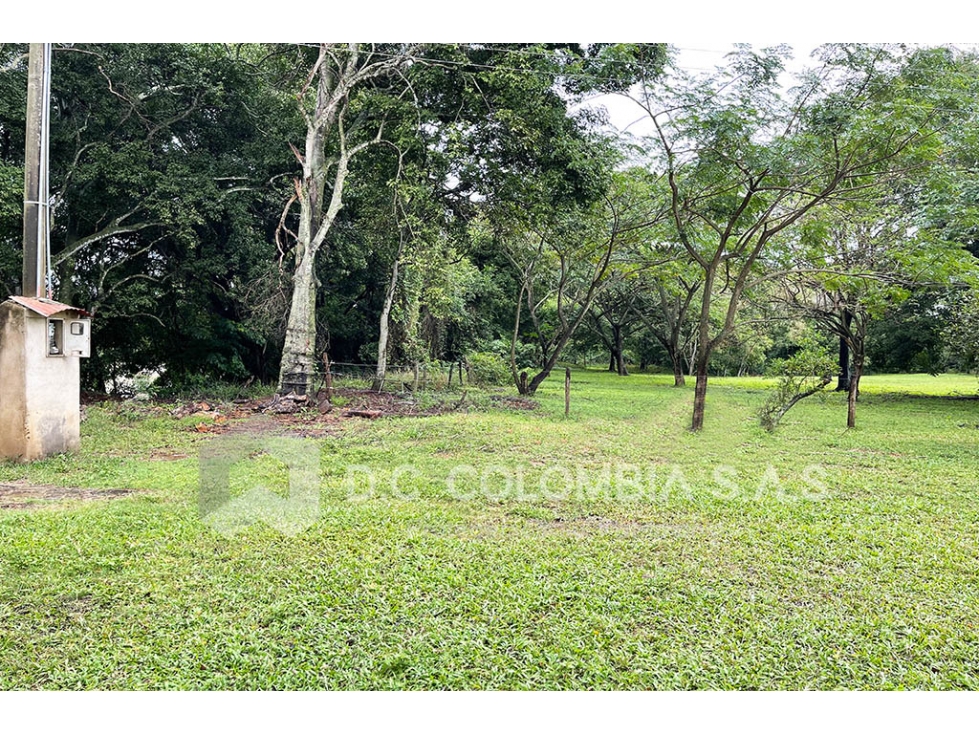 LOTE EN VENTA EN VEREDA CAÑAVERAL - SUAREZ TOLIMA LOTE LA CEIBA 1A - 2