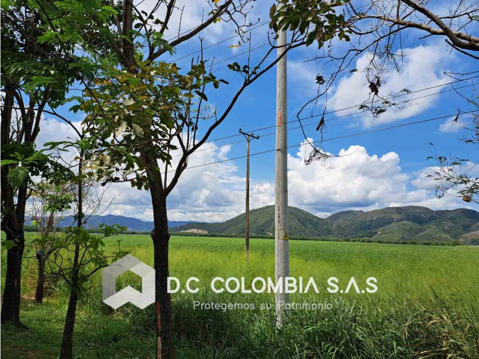 LOTE EN VENTA VEREDA CAMALA - FLANDES TOLIMA - 2