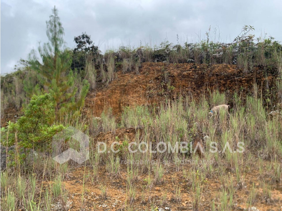 LOTE EN VENTA EN EL RETIRO ANTIOQUIA - VEREDA CARRIZALES — foto 2