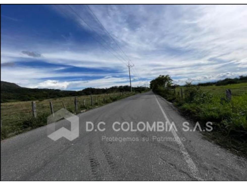 LOTE EN VENTA EN LA VEREDA CAÑAVERALES EN SUAREZ - TOLIMA - 2