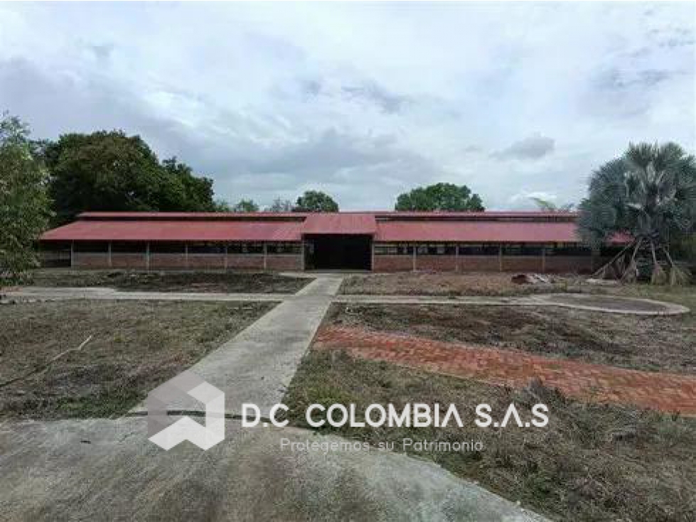FINCA EN VENTA EN LA VEREDA SAN MIGUEL DE PALERMO - HUILA - 2
