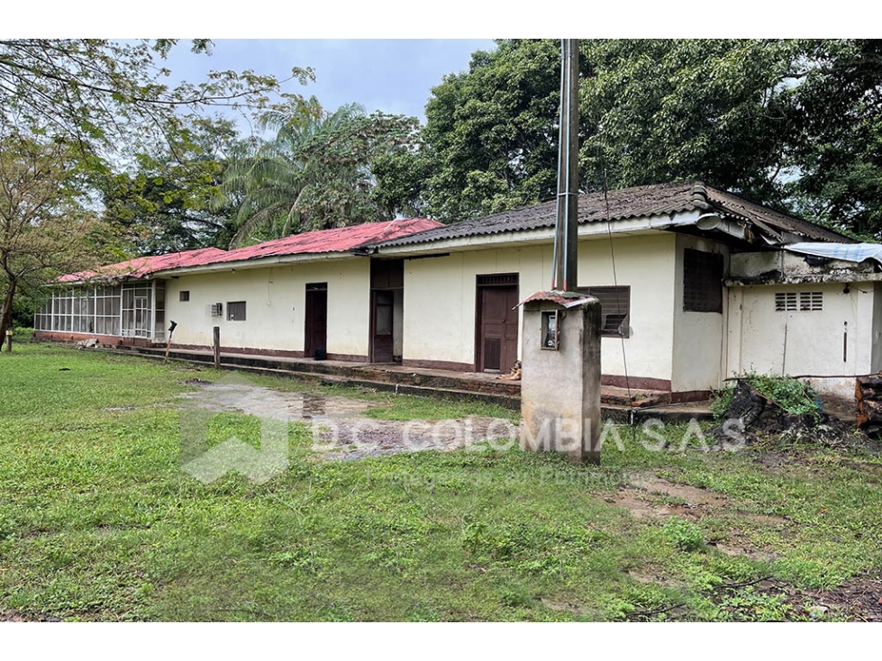 LOTE EN VENTA EN VEREDA CAÑAVERAL - SUAREZ TOLIMA LOTE LA CEIBA 1A - 3