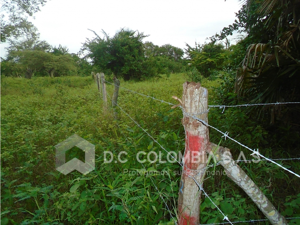LOTTE EN VENTA EN EL CORREGIMIENTO LA BOQUILLA EN CARTAGENA — foto 3