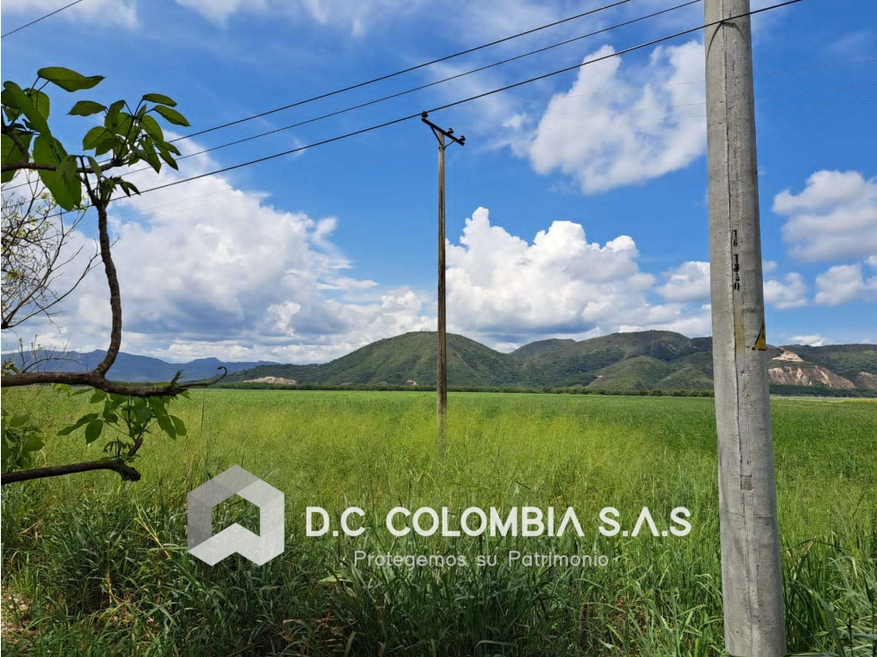 LOTE EN VENTA VEREDA CAMALA - FLANDES TOLIMA - 3
