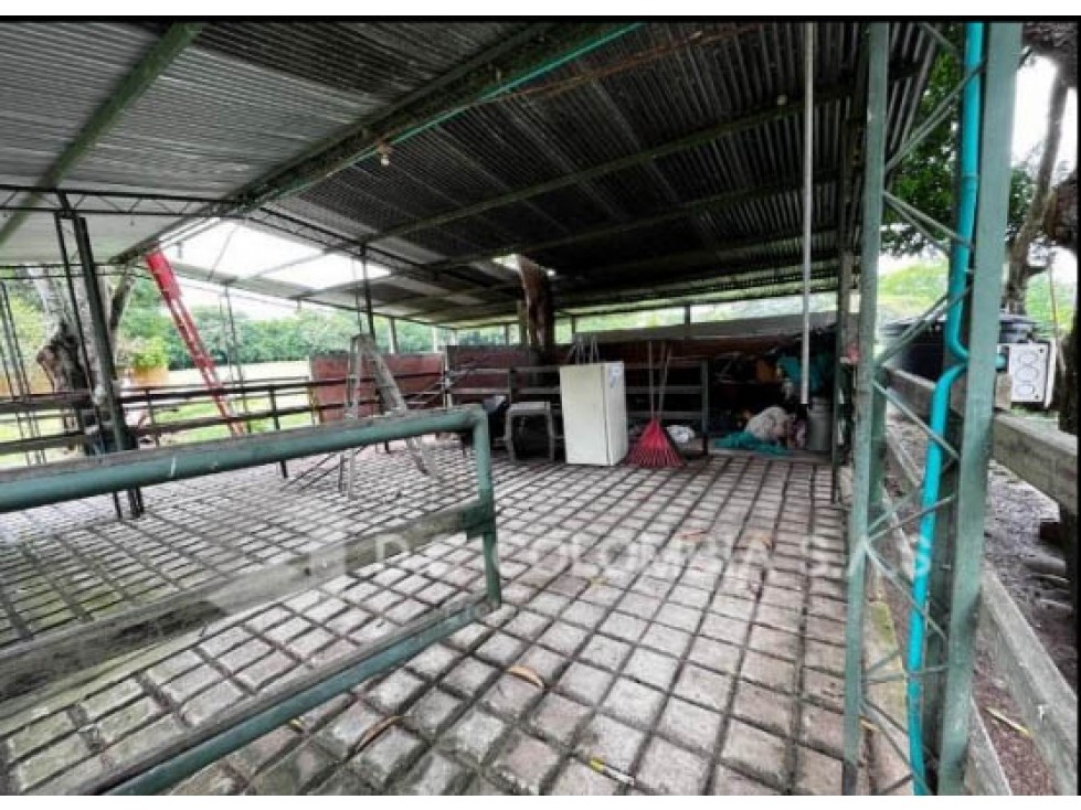 LOTE EN VENTA EN NILO - CUNDINAMARCA - 3