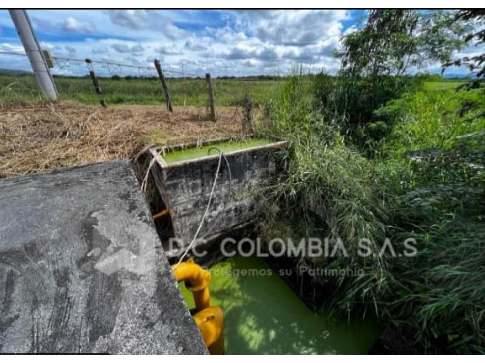 LOTE EN VENTA EN LA VEREDA CAÑAVERALES EN SUAREZ - TOLIMA - 3