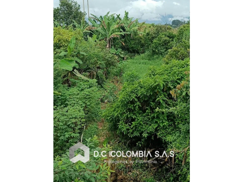 LOTE EN VENTA EN EL SECTOR DEL ROSAL - SANTA BÁRBARA - BOYACÁ - 3