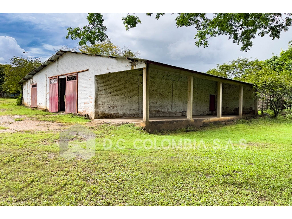 LOTE EN VENTA EN VEREDA CAÑAVERAL - SUAREZ TOLIMA LOTE LA CEIBA 1A - 4