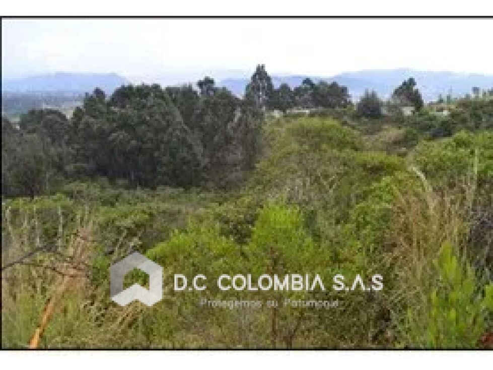 LOTE EN VENTA - ENCENILLOS DE SINDAMANOY - CHÍA - CUNDINAMARCA — foto 4