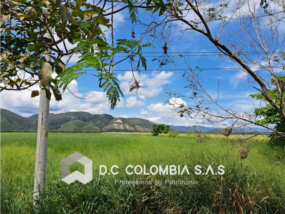 LOTE EN VENTA VEREDA CAMALA - FLANDES TOLIMA - 4