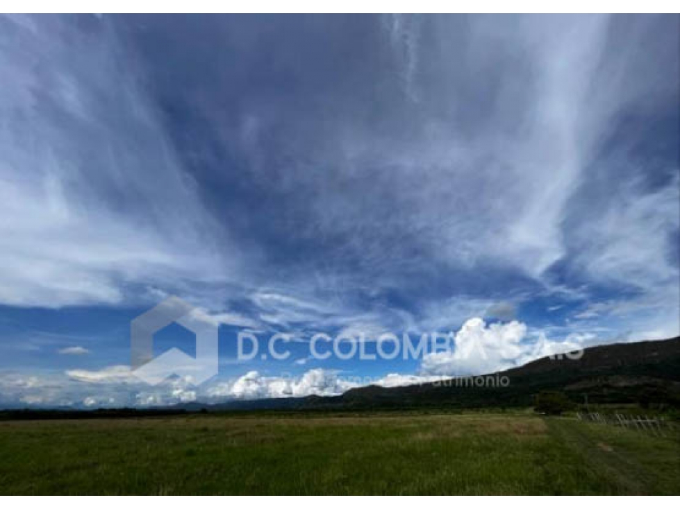 LOTE EN VENTA EN LA VEREDA CAÑAVERALES EN SUAREZ - TOLIMA - 4