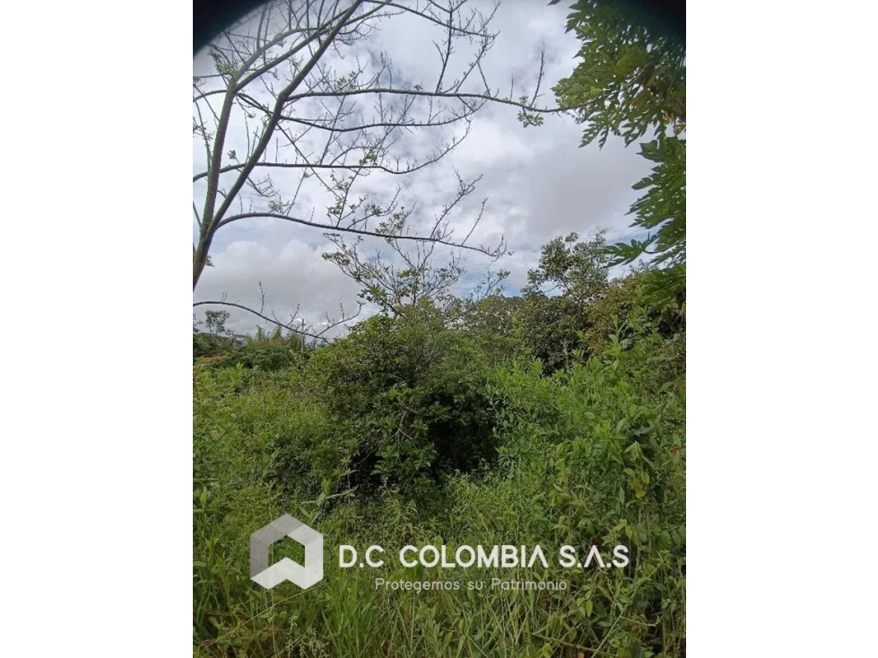 LOTE EN VENTA EN EL SECTOR DEL ROSAL - SANTA BÁRBARA - BOYACÁ - 4