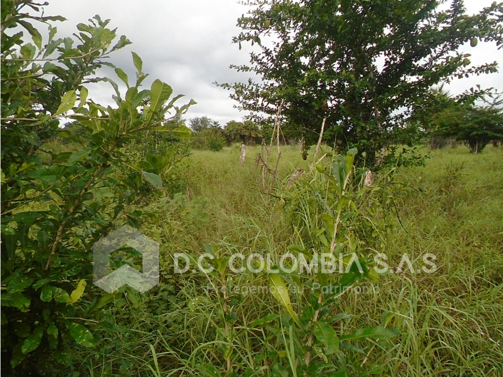 LOTTE EN VENTA EN EL CORREGIMIENTO LA BOQUILLA EN CARTAGENA — foto 5