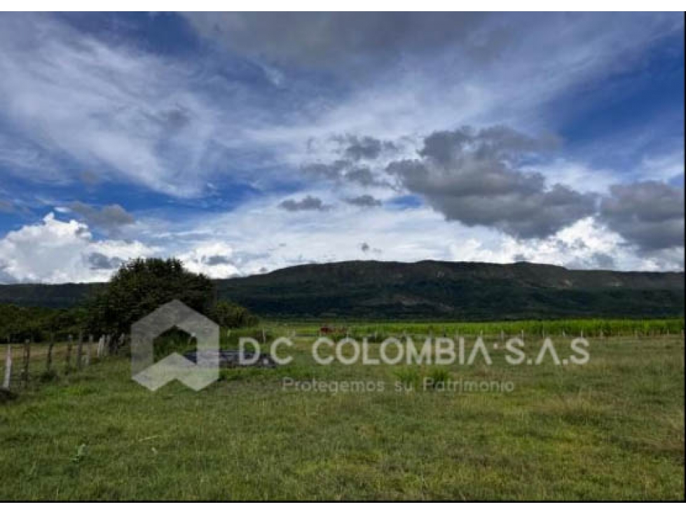 LOTE EN VENTA EN LA VEREDA CAÑAVERALES EN SUAREZ - TOLIMA - 5