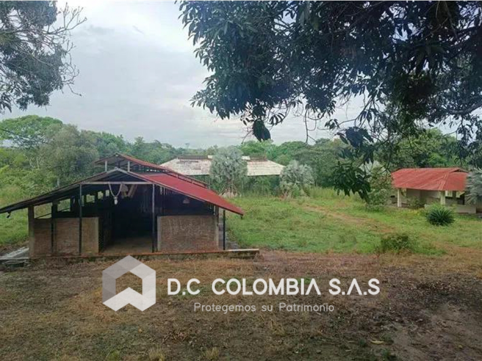 FINCA EN VENTA EN LA VEREDA SAN MIGUEL DE PALERMO - HUILA - 5
