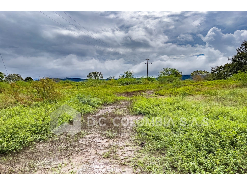 LOTE EN VENTA EN VEREDA CAÑAVERAL - SUAREZ TOLIMA LOTE LA CEIBA 1A - 6