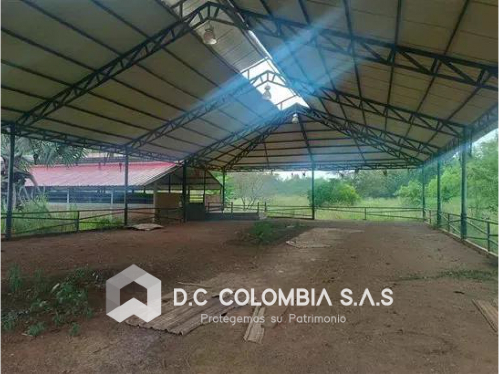 FINCA EN VENTA EN LA VEREDA SAN MIGUEL DE PALERMO - HUILA - 6