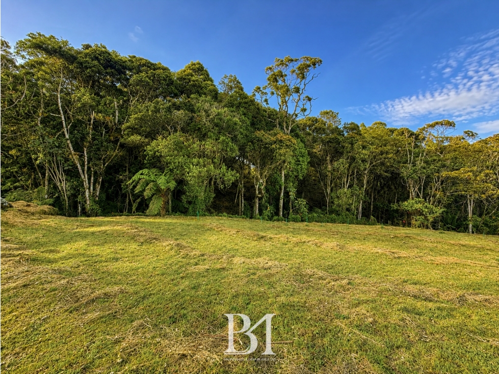 LOTE EN PARCELACIÓN ALTO DEL ESCOBERO ENVIGADO — foto 5