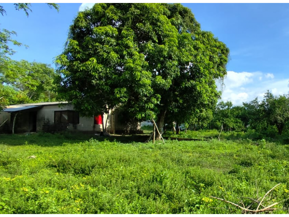 LOTE PARA VENTA MUNICIPIO SAMPUES - 1