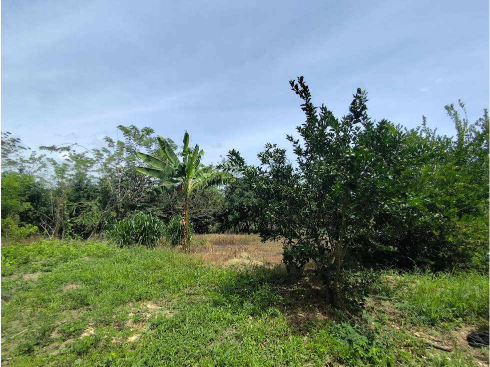 CASA FINCA PARA VENTA VEREDA MARIBEL CHOCHO-SINCELEJO - 2