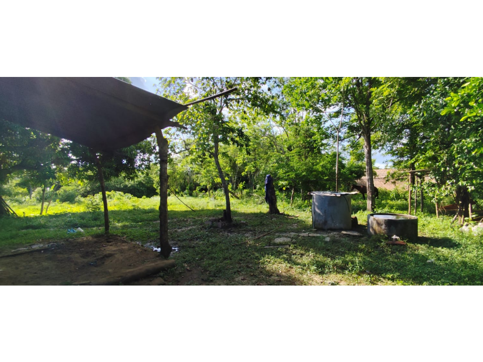 LOTE PARA VENTA MUNICIPIO SAMPUES - 4