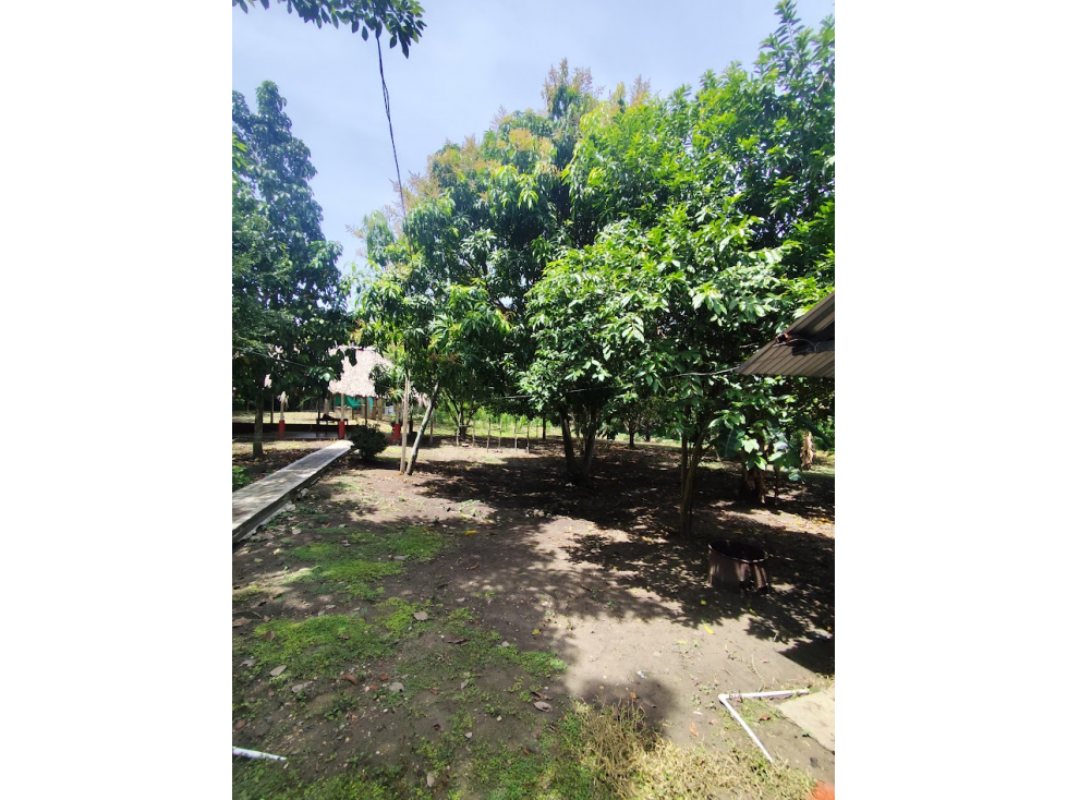 CASA FINCA PARA VENTA VEREDA MARIBEL CHOCHO-SINCELEJO - 4