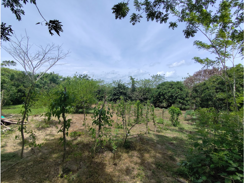 CASA FINCA PARA VENTA VEREDA MARIBEL CHOCHO-SINCELEJO - 5