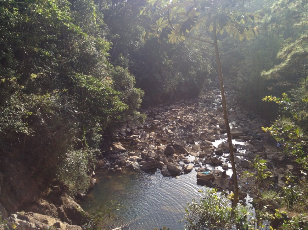 VENDEMOS LOTES EN ALTOS DE CERRO AZUL - 4