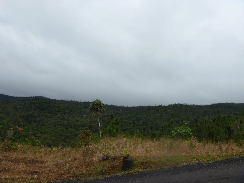 VENDEMOS LOTES EN ALTOS DE CERRO AZUL - 6