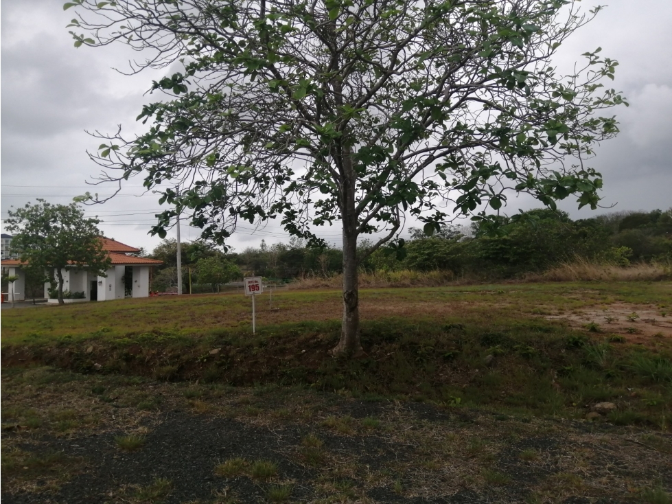 VENDEMOS LOTE EN CORONADO - 3