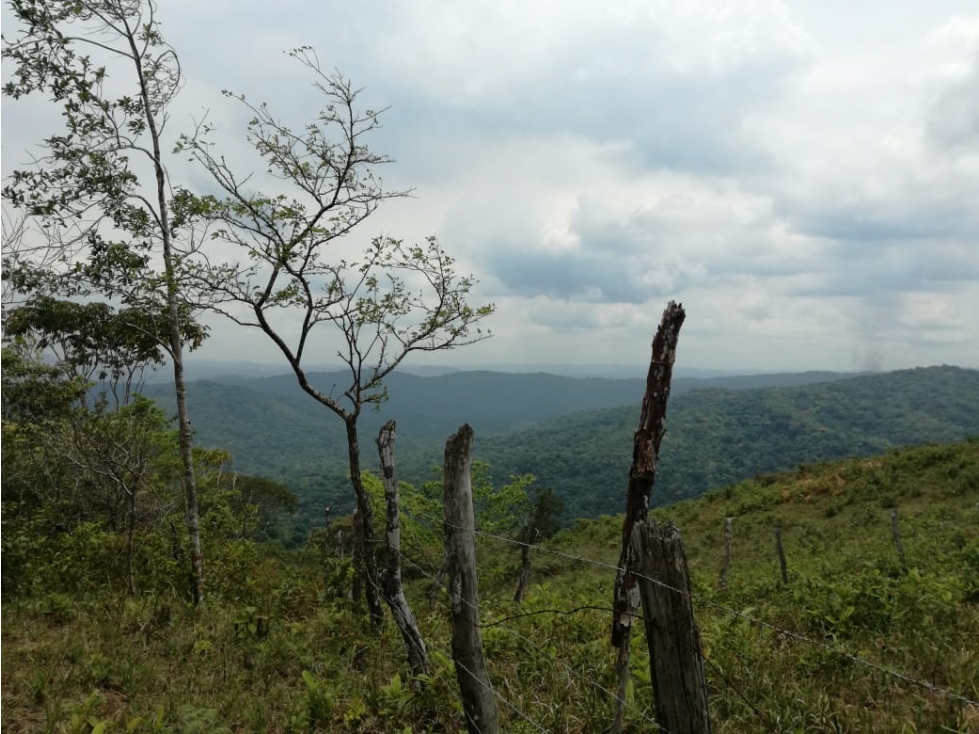 VENTA DE TERRENO EN CERRO AZUL REMATE - 3