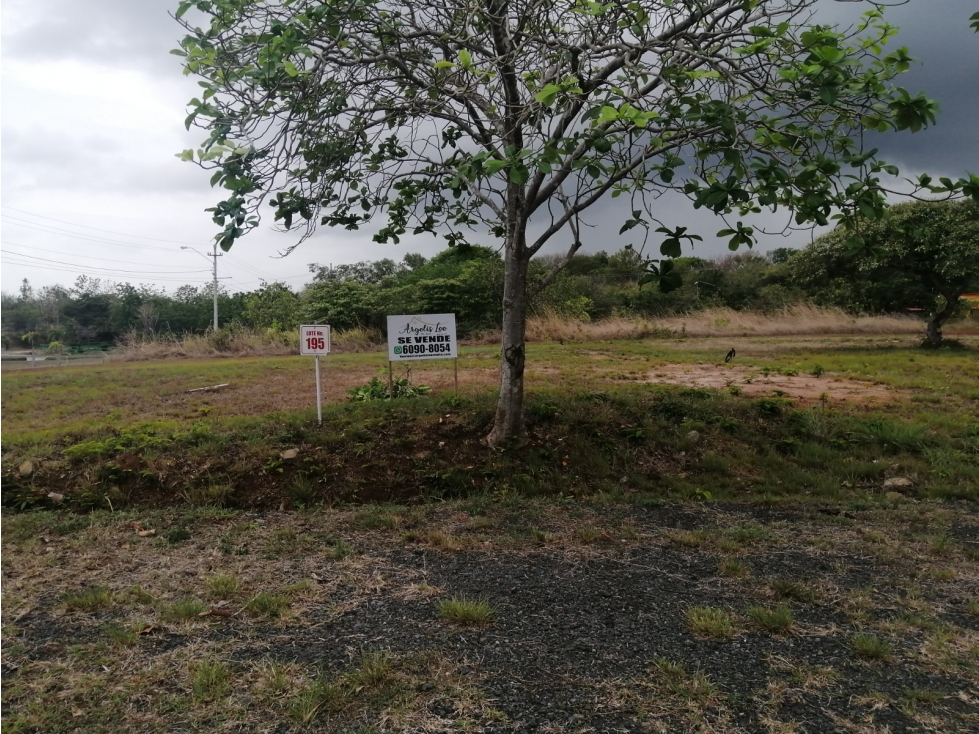 VENDEMOS LOTE EN CORONADO - 4