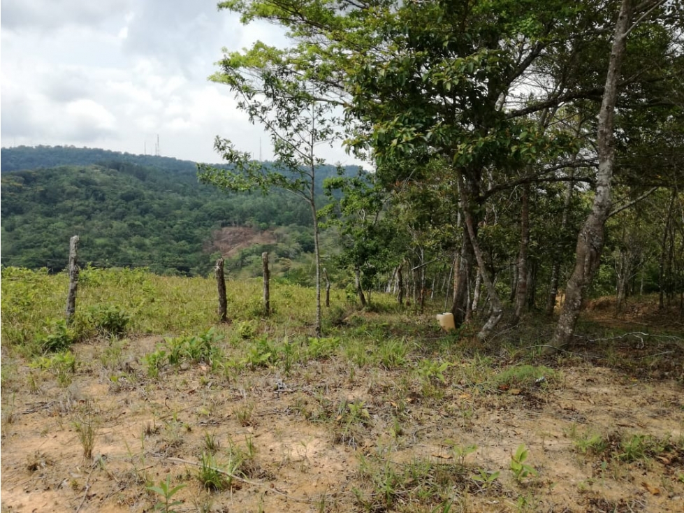 VENTA DE TERRENO EN CERRO AZUL REMATE - 2