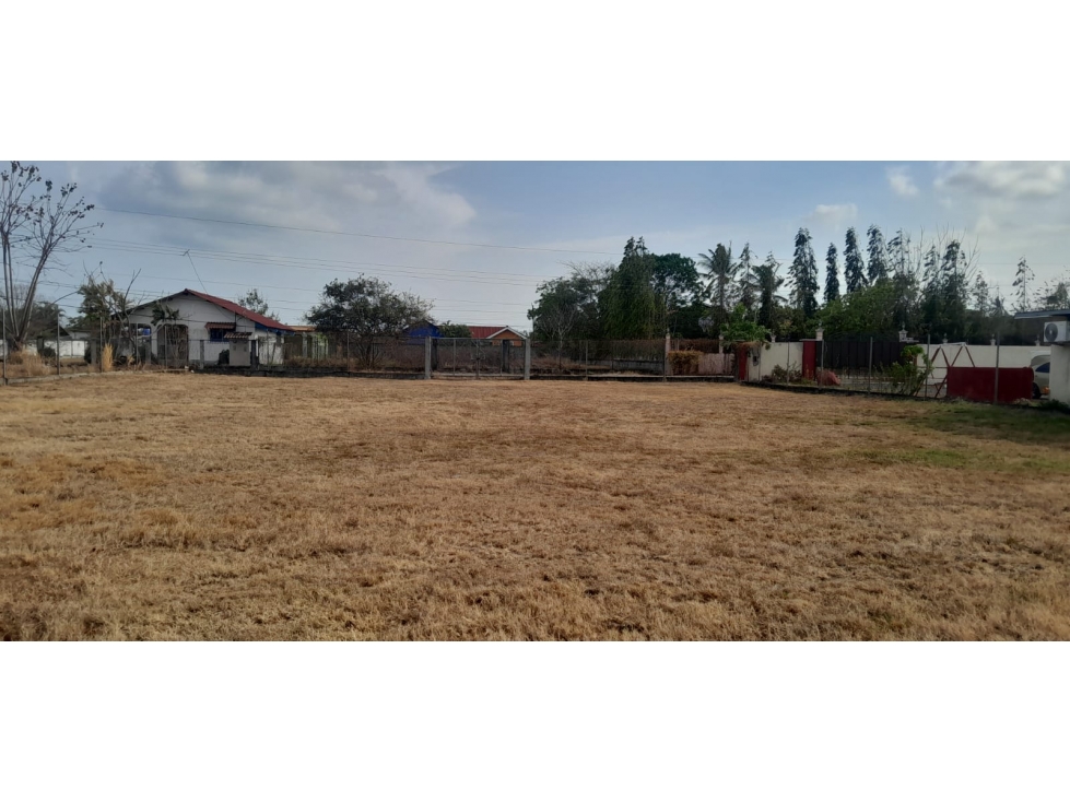 SE VENDE TERRENO EN NUEVO GORGONA — foto 3