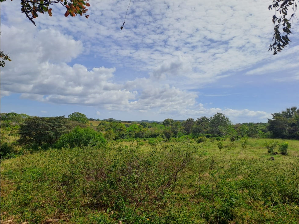VENTA DE FINCA POBLADO LLANO EN CALOBRE — foto 3