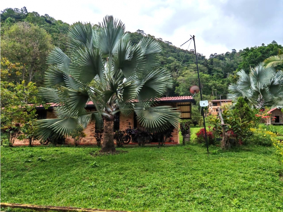 EN VENTA FINCA TURISTICA ANOLAIMA - 6