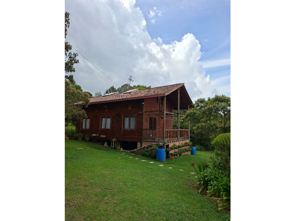 VENTA