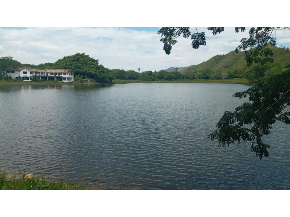Fincas del Paso - 1