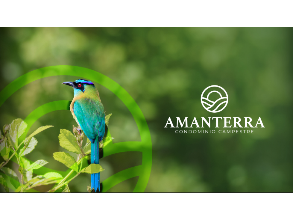 AMANTERRA CONDOMINIO CAMPESTRE - 1