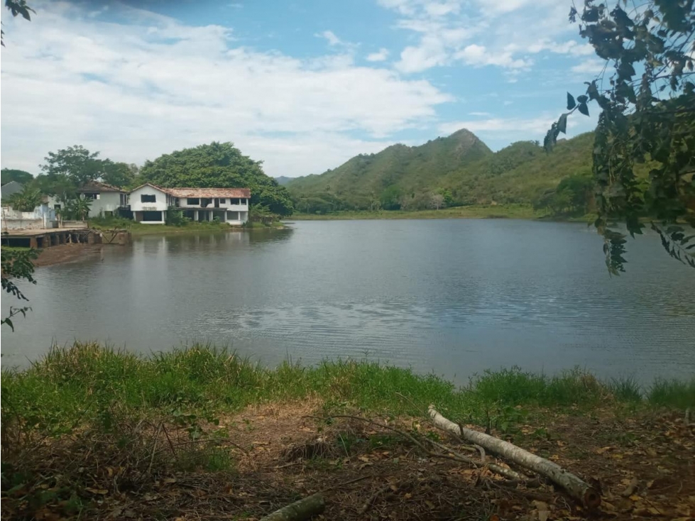 Fincas del Paso - 2