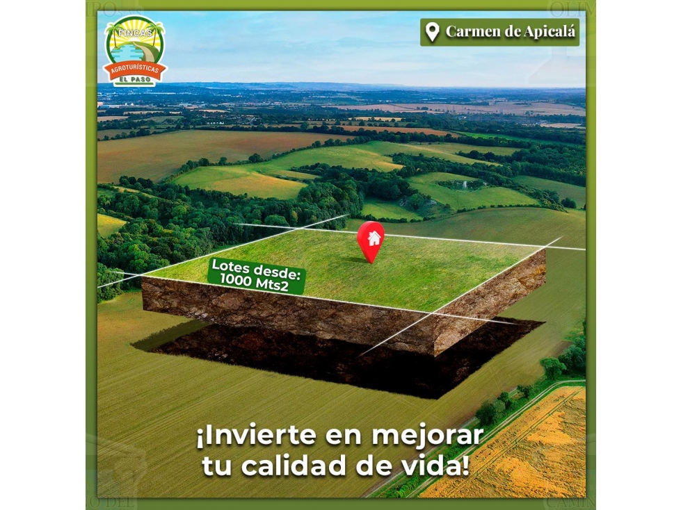 Fincas del Paso - 3