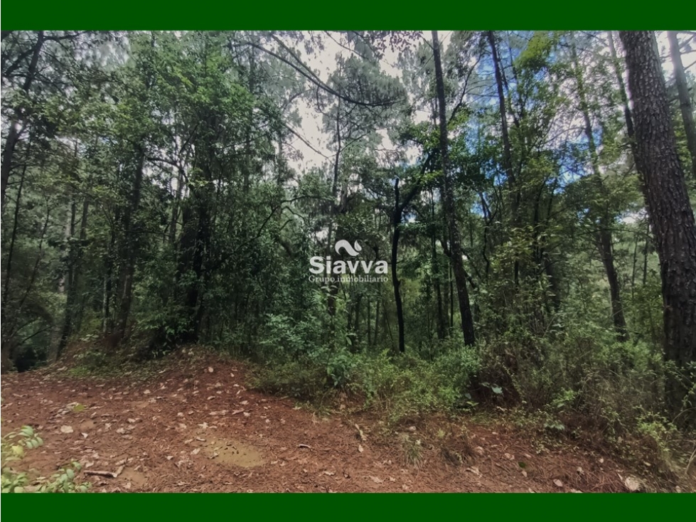 Terreno en venta, Acatitlán, Valle de Bravo