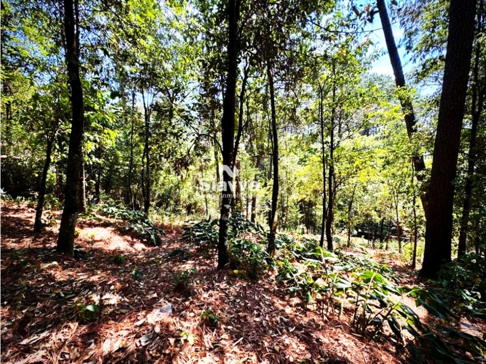 TERRENO EN VENTA EN AVÁNDARO, VALLE DE BRAVO — foto 2