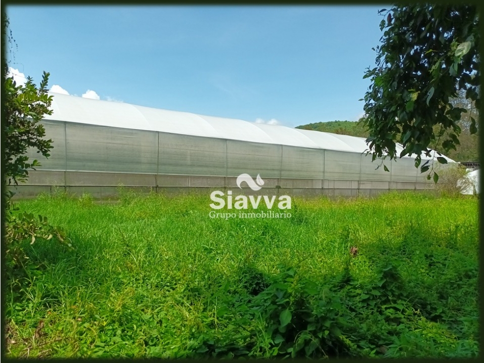 TERRENO EN VENTA EN SANTA MAGDALENA, VALLE DE BRAVO — foto 2