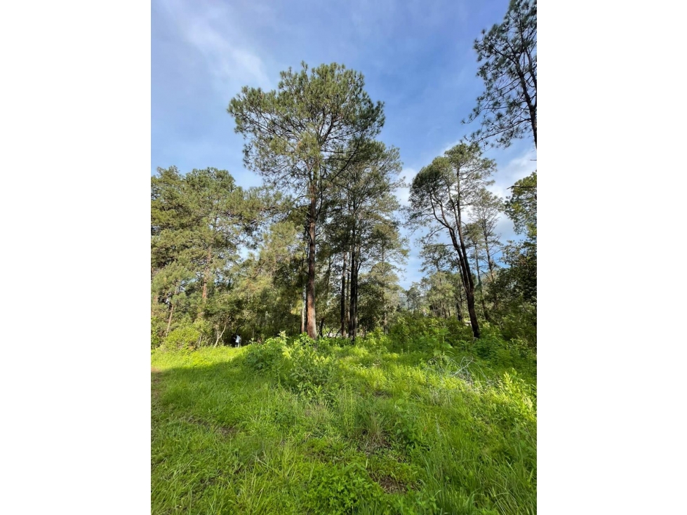 TERRENO EN VENTA EN VALLE DE BRAVO — foto 2