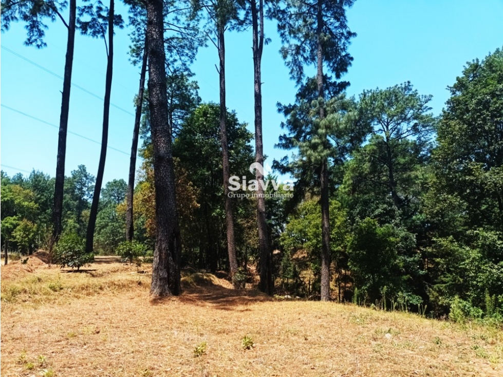 TERRENO EN VENTA EN LA CANDELARIA, VALLE DE BRAVO — foto 2